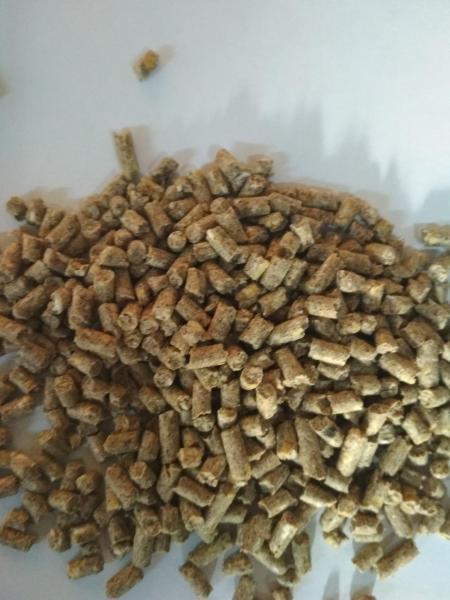 Комбикорм для свиней — фото 1